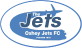 Oxhey Jets badge