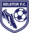 Selston badge