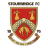 Stourbridge badge