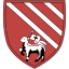 Droylsden badge