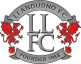 Llandudno badge