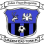 Maidenhead Town badge